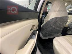 بي واي دي كوين L DM-i